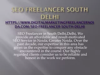 seo freelancer south delhi