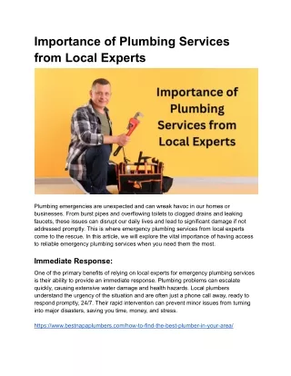 importance of plumbing services from local experts