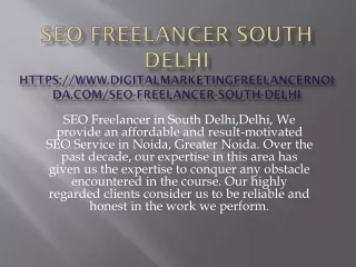 seo freelancer south delhi