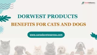 Dorwest Products: The Best Choice for Natural and Effective Herbal Remedies for
