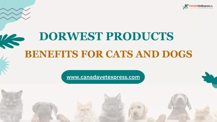 dorwest products