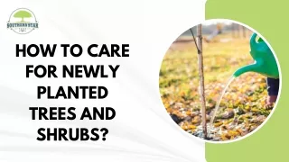 how to care for newly planted trees and shrubs