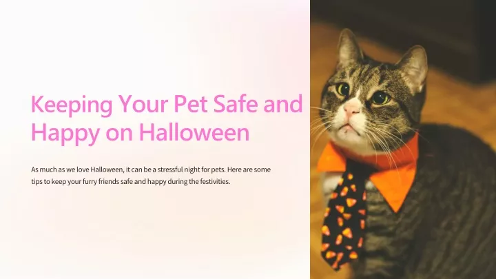 keeping your pet safe and happy on halloween
