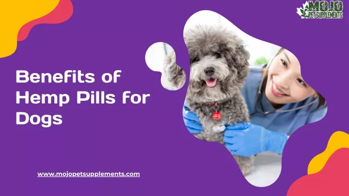 benefits of hemp pills for dogs