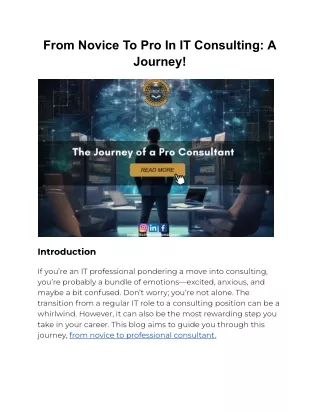 from novice to pro in it consulting a journey