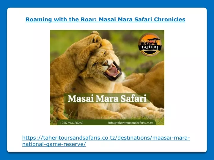 roaming with the roar masai mara safari chronicles