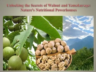 Unlocking the Secrets of Walnut and Yamakurage Nature's Nutritional Powerhouses