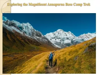 Exploring the Magnificent Annapurna Base Camp Trek