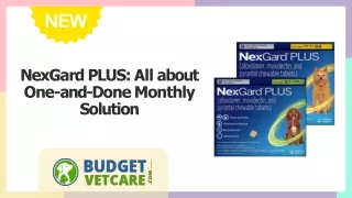 NexGard PLUS All about One-and-Done Monthly Solution