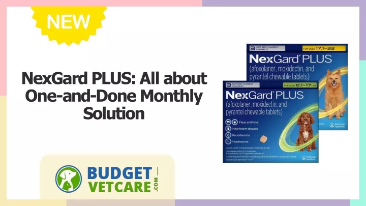 nexgard plus all about one and done monthly solution