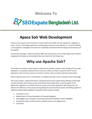 Apace Solr Web Development