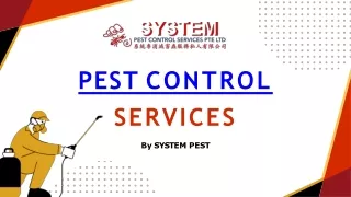 System Pest: Your Trusted Partner for Comprehensive Pest Control Services