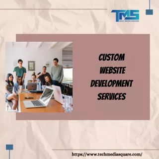 custom  website development services