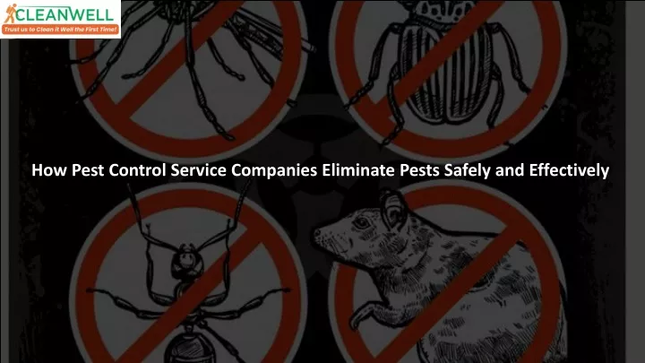 how pest control service companies eliminate pests safely and effectively