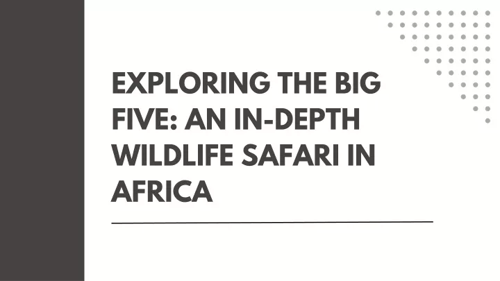 exploring the big five an in depth wildlife