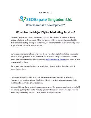 Digital Marketing Services  SEO Expert Bangladesh LTD