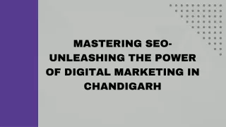Mastering SEO Unleashing the Power of Digital Marketing in Chandigarh (1)