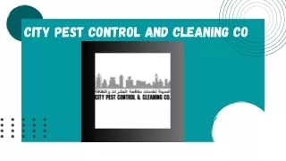 Keep Your Home Clean with Professional Cleaning Services | TradersFind