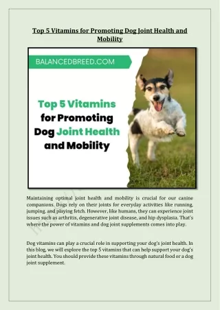 Top 5 Vitamins for Promoting Dog Joint Health and Mobility