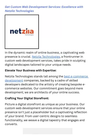 Get Custom Web Development Services Excellence with Netzila Technologies