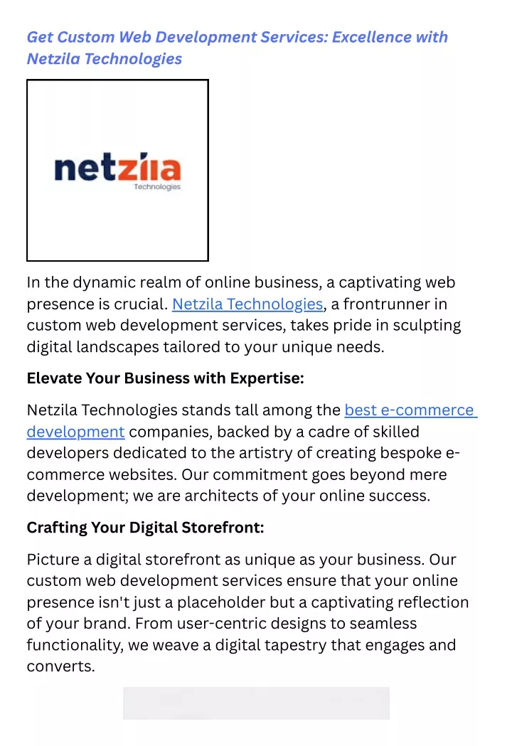 get custom web development services excellence