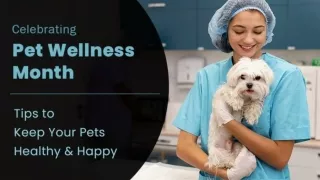 Celebrating Pet Wellness Month- Tips to Keep Your Pets Healthy