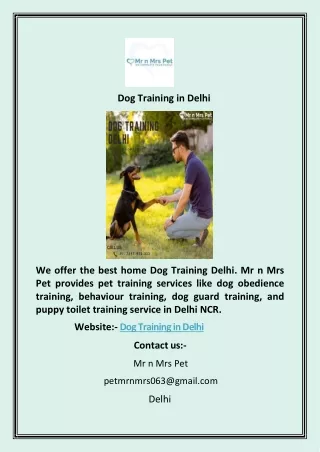 Dog Training in Delhi