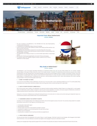 Study in Netherlands Top Universities, Scholarships, Cost