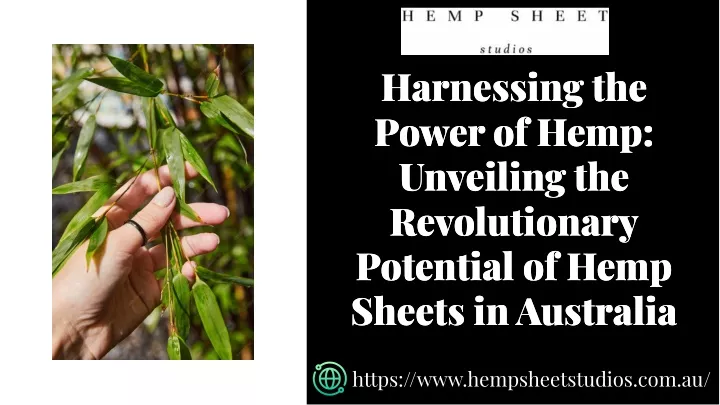 harnessing the power of hemp unveiling