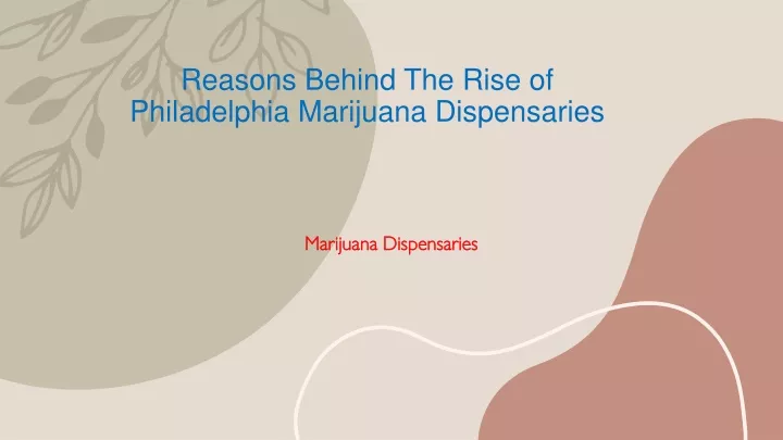 reasons behind the rise of philadelphia marijuana