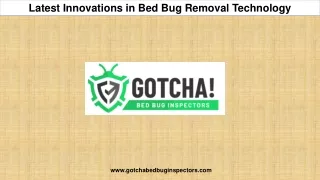Latest Innovations in Bed Bug Removal Technology