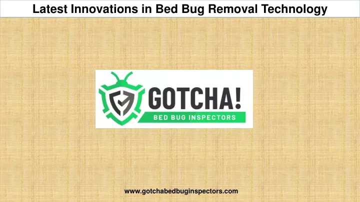 latest innovations in bed bug removal technology
