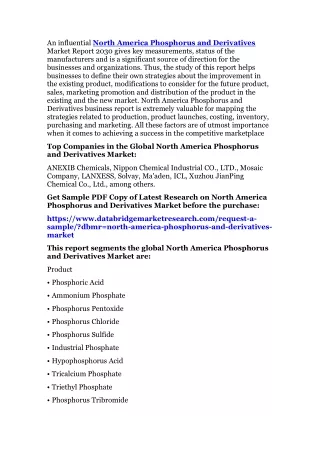 North America Phosphorus and Derivatives Market