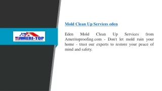 Mold Clean Up Services Eden | Ameritoproofing.com