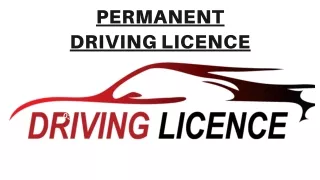 PERMANENT DRIVING LICENCE