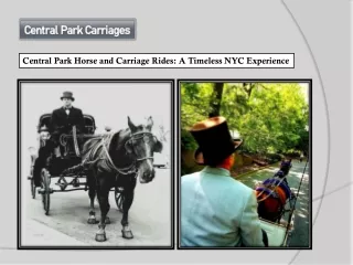 Central Park Horse and Carriage Rides A Timeless NYC Experience