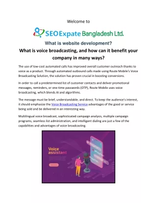 Voice Broadcasting Service  SEO Expert Bangladesh LTD