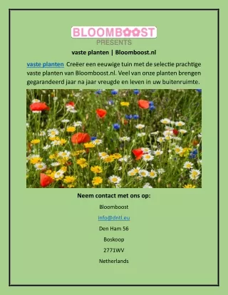 vaste planten | Bloomboost.nl