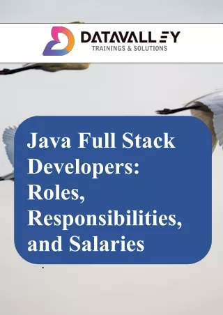 Java Full Stack Developers Roles, Responsibilities, and Salaries