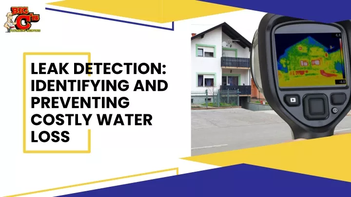 leak detection identifying and preventing costly