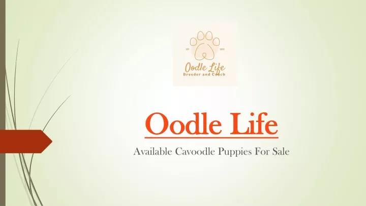 oodle life