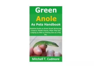 Download Green Anole as Pets Handbook Detailed Guide on Green Anole Nurturing Co