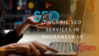 Organic SEO Services in Bhubaneswar