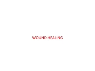 wound Healing