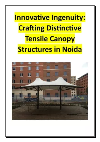 Innovative Ingenuity - Crafting Distinctive Tensile Canopy Structures in Noida
