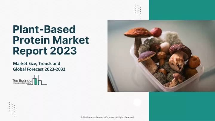 plant based protein market report 2023
