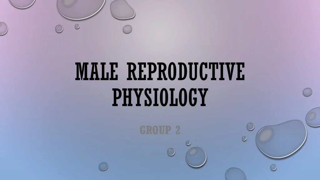 PPT - Male Reproductive Physiology PowerPoint Presentation, free ...