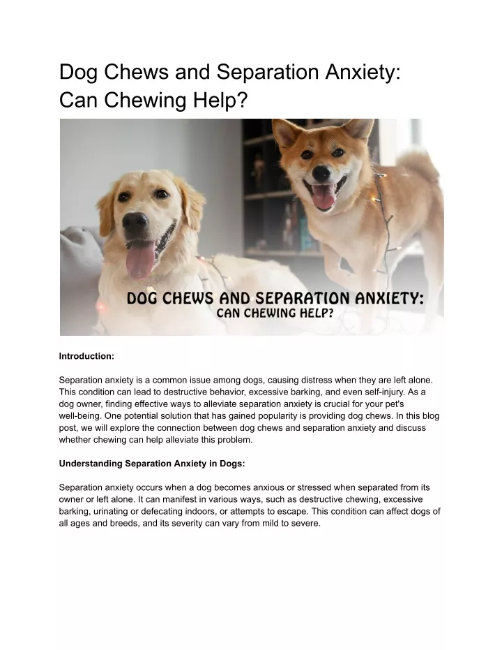 dog chews and separation anxiety can chewing help