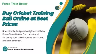 Weighted Cricket Training Ball | Force Train Better