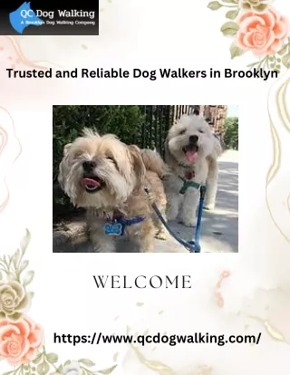 Trusted and Reliable Dog Walkers in Brooklyn